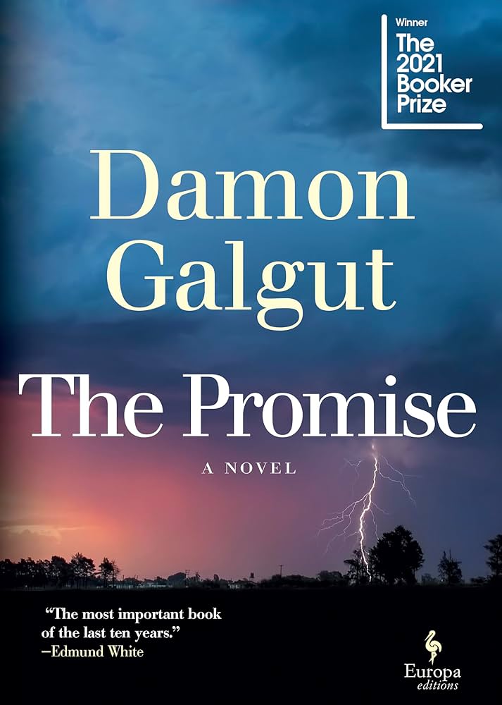 The Promise by Damon Galgut - Paperback edition. 